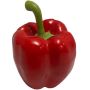 Konstgjord paprika REKLA, röd, 8cm, Ø7,5cm