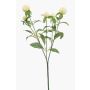 Konstgjord gren med kulamarant DREWON, krämfärgad, 65cm, Ø2-3cm