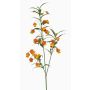 Konstgjord gren med lanternlilja SWALOR, orange-gul, 110cm