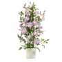 Konstblomma, klematis SLANE i kruka, lila-vit, 120cm