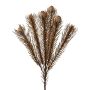 Dekorativ kvist, nålkudde Protea KROLI med knoppar, torkad look, brun, 50cm, Ø1-2cm