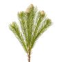 Dekorativ kvist nålkudde Protea KROLI med knoppar, krämgrön, 50cm, Ø1-2cm