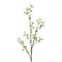 Dekorativ kvist av slöjblomma BRISLO, vit, 65cm, Ø1-1,5cm