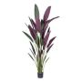 Konstväxt Heliconia SNALHE, grön-vinröd, 210cm