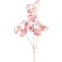 Dekorativ kvist Lathyrus latifolius SLIRKEN, ljusrosa, 75cm