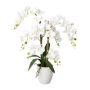 Konstgjord Phalaenopsis-orkidé LUKREN i keramikkruka, rötter, vit, 65cm