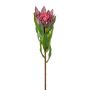 Dekorationsblomma kungsprotea WANBA, lila, 50cm