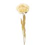 Dekorationsblomma pion MASNOR, torkad look, krämfärgad, 65cm