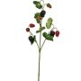 Konstgjord hallongren RAFAELLA med frukter, röd-svart, 50cm