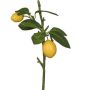 Konstgjord gren med citron ADELAIDA och frukter, gul, 35cm