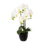 Konstgjord Phalaenopsis-orkidé UKERNA i kruka av harts, vit, 55cm