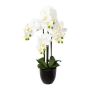 Konstgjord Phalaenopsis-orkidé UKERNA i överkruka av harts, vit, 70cm