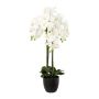 Konstgjord Phalaenopsis-orkidé UKERNA i kruka av harts, vit, 100cm