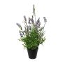 Dekorationsblomma lavendel SMORLI i dekorativ kruka, lila, 50cm