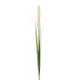 Konstgjort lampstädargräs med ax KROVE, stickpinne, krämfärgat, 85cm