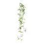 Dekorativ hängväxt Tradescantia zebrina FROLHE, stödpinne, grön-vit, 100cm