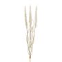 Konstgräs för lampor ALOGUI, stickor, tofsar, beige, 50cm