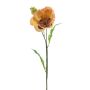 Dekorativ vallmo EDESSA, persika-orange, 80cm, Ø11cm