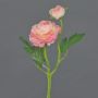 Dekorativ ranunkel LIOFA, rosa-krämfärgad, 35cm, Ø8cm