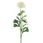 Konstblomma ranunkel PROTO, krämfärgad, 65cm