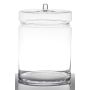 Godisburk i glas MILLIE med lock, klar, 21cm, Ø19cm