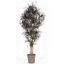 Imitation av Dracaena Marginata KIMANORA, naturstammar, grön-röd, 125cm - Tillverkad i Italien