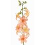 Konstgjord lilja LABRICKA, rosa-gul, 100cm, Ø9cm
