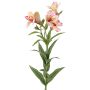 Dekorativ kvist, inkalilja AUBERTA, rosa-cerise-gul, 75cm, Ø6cm