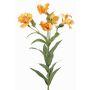 Dekorativ kvist Inkalilja AUBERTA, orange-gul, 75cm, Ø6cm
