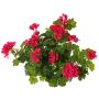 Konstgjord pelargon MIA på stativ, cerise, 40cm, Ø5-8cm