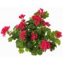 Konstgjord pelargon MIA på stativ, cerise, 40cm, Ø5-8cm