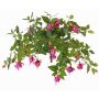 Konstgjord fuchsia KROUSIA, stickpinne, cerise-violett, 30cm, Ø5cm