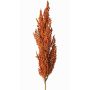 Dekorativ gren av sorghumhirse WADDY med ax, orange, 80cm