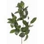 Konstgjord mangrovegren USTERA, knoppar, svårantändlig, grön, 60cm