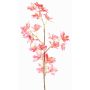 Konstgjord Odontoglossum-orkidégren BELANIA, rosa-gul, 75cm