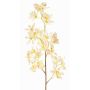 Odontoglossum-orkidégren, konstgjord, BELANIA, krämrosa, krämfärgad-cerise, 75cm