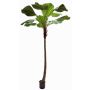 Dekorativ strålpalme OBERTA, 260cm