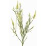 Dekorativ kvist klöver, konstgjord EUTIN med blommor, vitgrön, 80cm, Ø1,5-2cm