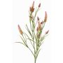 Dekorativ kvist av konstgjord klöver EUTIN med blommor, antikrosa-grön, 80cm, Ø1,5-2cm