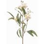 Konstgjord eukalyptusgren WANARA med blommor, vit, 100cm, Ø2-6cm