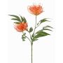 Konstgjord växt, gren av silverbjörn VULKINTA med blommor, orange, 75cm, Ø9-11cm