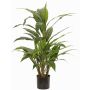 Konstgjord cordyline ORMOS, grön, 80cm