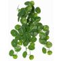 Stephania erecta konstväxt ANOGIA på stödpinne, grön, 50cm