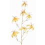 Sammet, Gloriosa-dekorationsgren NESTOS, gul-guld, 110cm