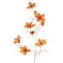 Dekorativt sammet-bauhinia-gren GAZERA, orange-guld, 115cm