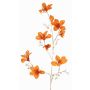 Dekorativt sammet-bauhinia-gren GAZERA, orange-guld, 115cm