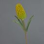 Konstgjord blomma Banksia robur EREDIN, gulgrön, 70cm, Ø7cm