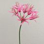 Konstgjord spindellilja LUCHO, rosa, 70cm, Ø20cm