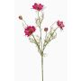 Dekorativ kvist med svart kummin JENNIE, cerise, 70cm