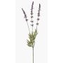 Konstblomma lavendel TORNE, lila, 65cm, Ø3cm